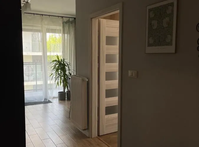 Rakowicka Apartment - City Center